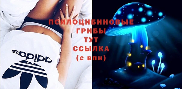 apvp Заволжье