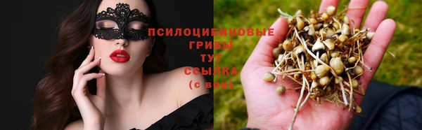 apvp Заволжье