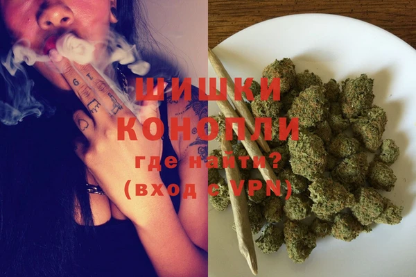 метадон Инта