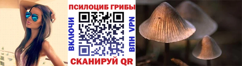Псилоцибиновые грибы GOLDEN TEACHER  наркошоп  Кирс 