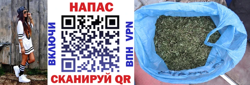 Конопля марихуана  купить закладку  Кирс 